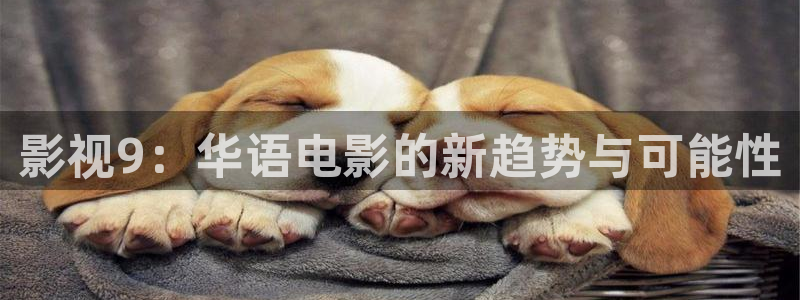 秋霞电影网久久：影视9：华语电影的新趋势与可能性