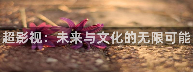 秋霞电影网午夜电影网